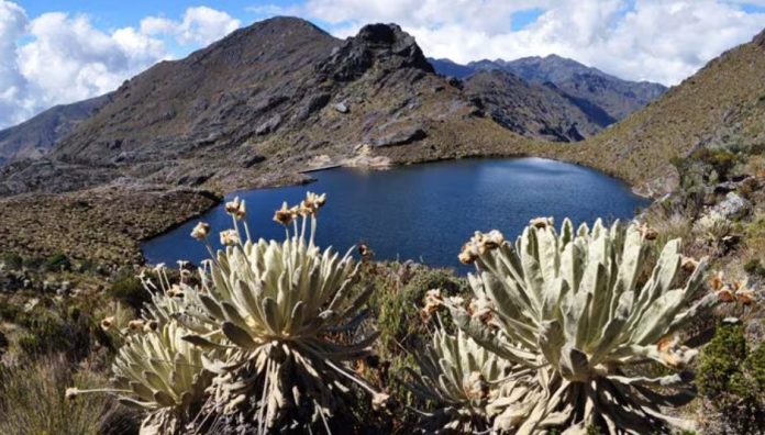 Colombia ya no deberá pagar millonaria suma a minera canadiense por proyecto en reserva de Santurbán