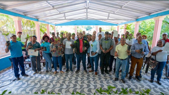 FEDA dona más de 100,000 plantas en Pedernales, busca aumentar y recuperar zona boscosa