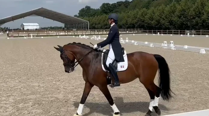 Yvonne Losos no clasifica a la final en la competencia ecuestre