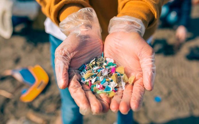 ¿Qué son los microplásticos y cuán perjudiciales son para el ser humano?