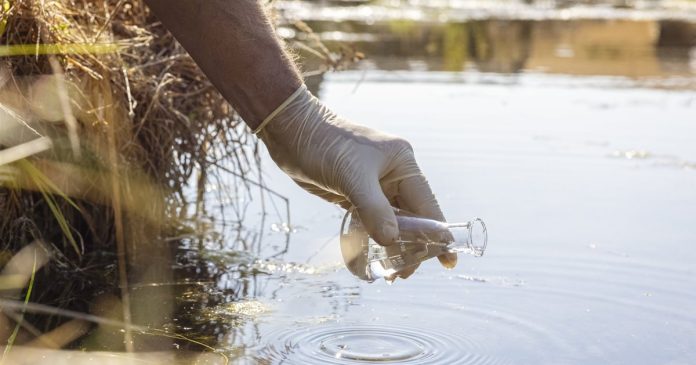 Hallan un importante microorganismo en un lago californiano que podría cambiarlo todo