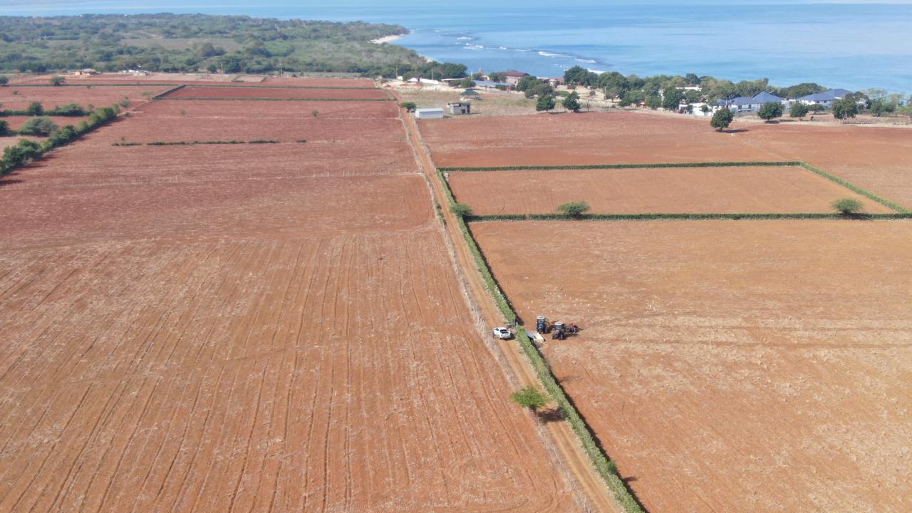 Agricultura prepara 7900 tareas de tierras gratis a productores en Puerto Plata