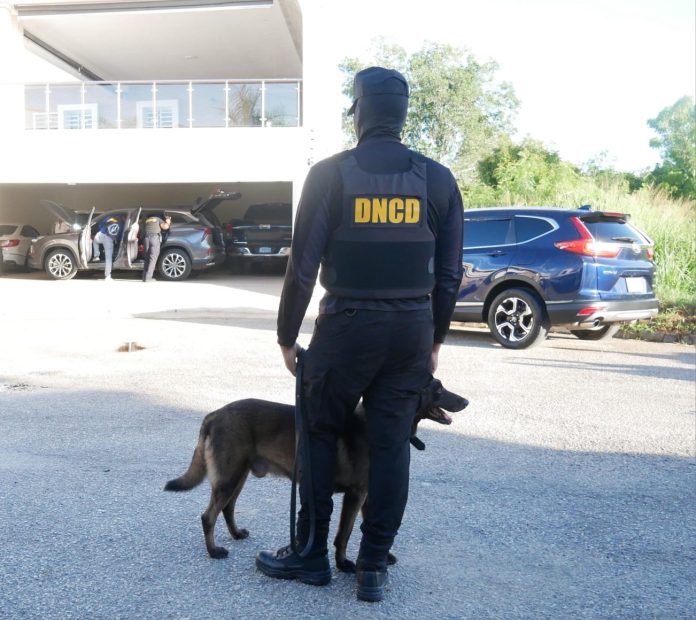 DNCD