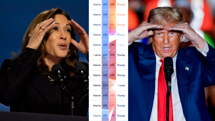 Primeros resultados: Trump gana en Indiana y Kentucky, mientras Harris vence en Vermont