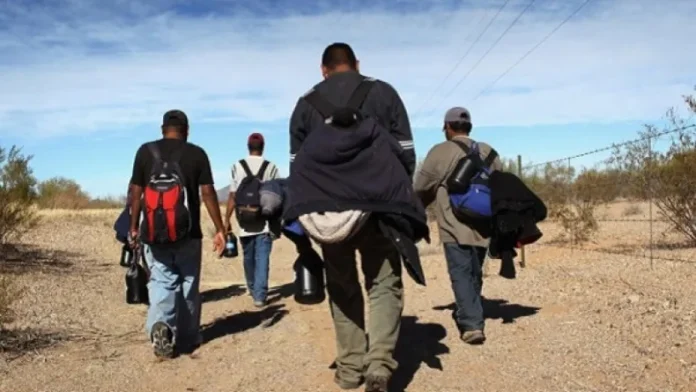 Realizarán foro de casos de trata y tráfico de migrantes entre RD, España, Colombia y Brasil.