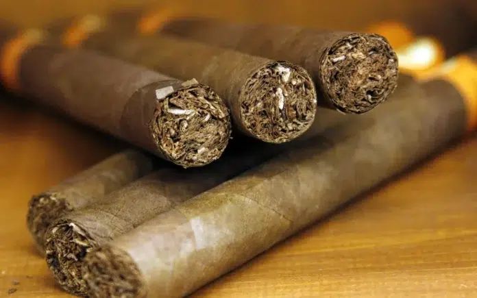 Cigar