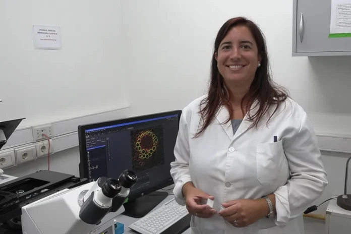 Reivindicar la microscopía: la meta de una científica de Uruguay destacada por la revista Nature