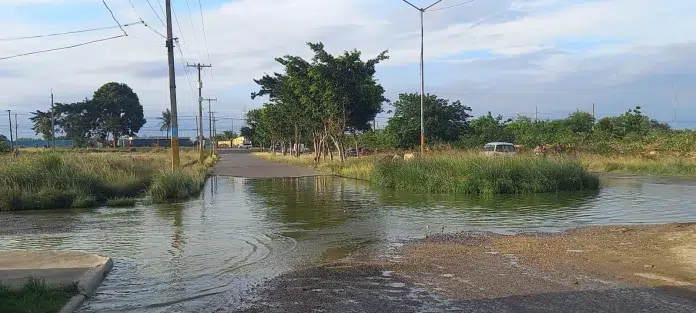Mencionan el deterioro de sus calles, la falta de un puente peatonal, la inseguridad, solares baldíos llenos de malezas y mal tratamiento de aguas residuales, entre otros