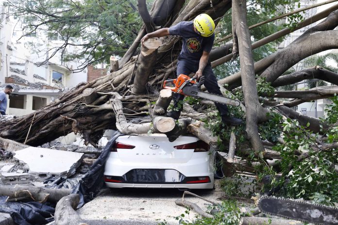 Árbol gigante cae en Piantini: Vehículo afectados y caos en el tránsito