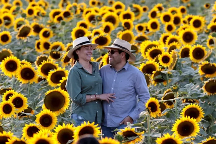 Finlandia sigue siendo el país más feliz del mundo, Costa Rica y México entran en el top 10