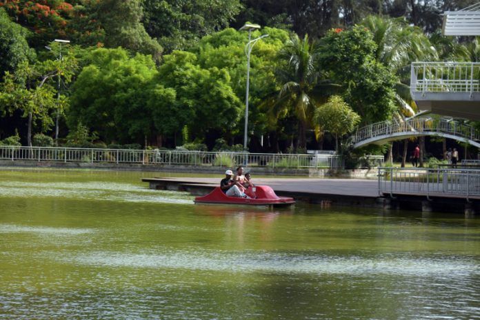 Invitan a caminata en el Parque Mirador Sur, este 5 de abril por el Día Mundial de la Salud