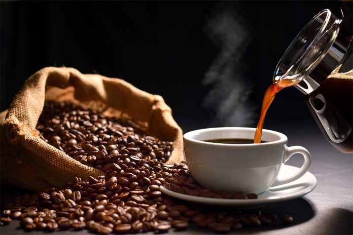 Las exportaciones del café salvadoreño crecieron un 40 % en el ciclo 2025-2026