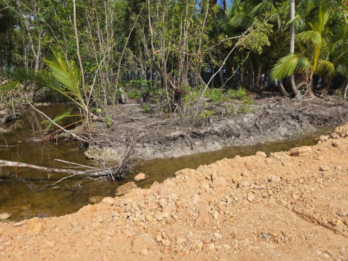 El allanamiento del proyecto, ubicado en Punta Bonita, Las Terrenas, fue realizado por los fiscales adscritos a la Procuraduría Especializada para la Defensa del Medio Ambiente y los Recursos Naturales (Proedemaren).