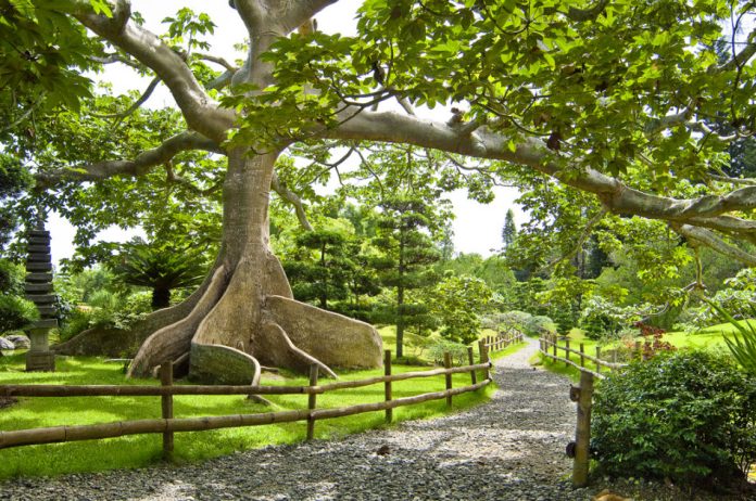 Explicó que el jardín botánico no es simplemente un parque para pasear y compartir en familia.
