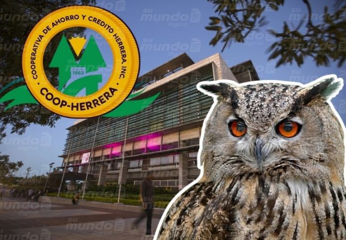Además, pidieron al Instituto de Desarrollo y Credito Cooperativo (IDECOOP) la devolución de los fondos ahorrados que poseían en la entidad. 