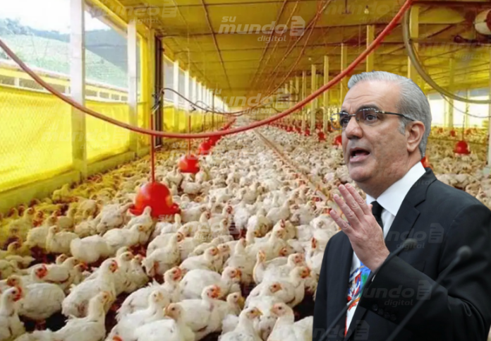 El experto agropecuario dijo que, si las autoridades hubieran programado el nacimiento de los pollos bebé, el país tendría en este verano la cantidad de libras de pollo que requiere la población en estos momentos.