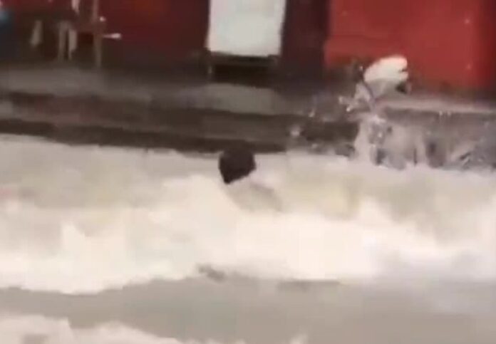 En un video que circula ampliamente, se observa al joven sumergirse en una fuerte corriente de agua lluvia, mientras testigos lo graban sorprendidos por su acción.