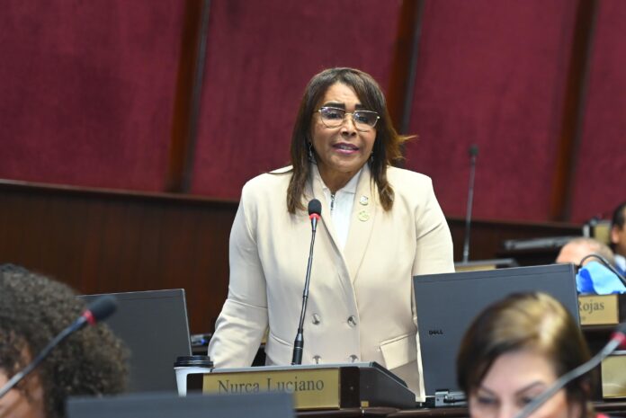 Diputada exige al Gobierno retirar barcazas de Los Negros por violar leyes ambientales
