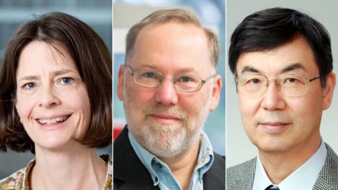 Nobel de Medicina 2025 a avances sobre el sistema inmune