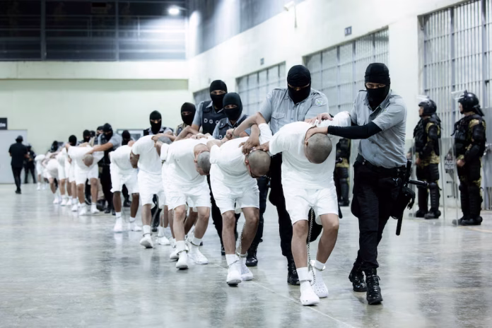 248 integrantes de la Mara Salvatrucha (MS-13)