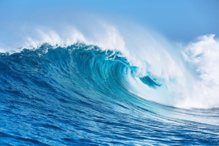 En virtud de lo anterior, queda descontinuada la restricción que regía tanto en la costa Atlántica como en la costa Caribeña.