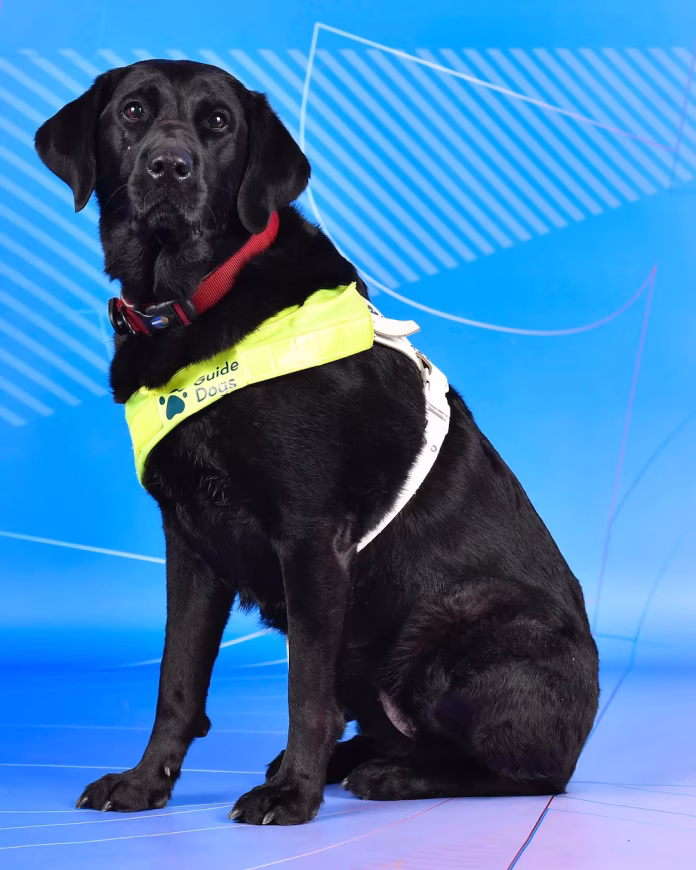 Poole compite en la categoría B3 (visión parcial) y también es embajadora juvenil de la organización Guide Dogs for the Blind Association.