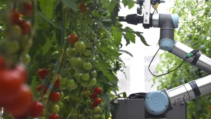 Científicos chinos desarrollaron GEAIR, el primer robot del mundo capaz de realizar todo el proceso de mejoramiento genético de plantas.