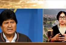Periodista Carol Pérez considera Evo Morales debe retirarse de la política Periodista Carol Pérez considera Evo Morales debe retirarse de la política