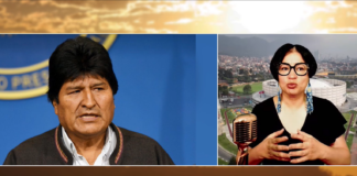 Periodista Carol Pérez considera Evo Morales debe retirarse de la política Periodista Carol Pérez considera Evo Morales debe retirarse de la política