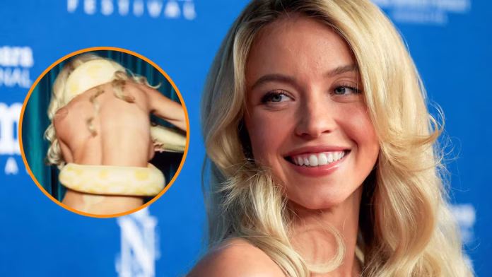 Varios usuarios han destacado su actuación como Cassie Howard en la serie de HBO, según reporta Fox News.