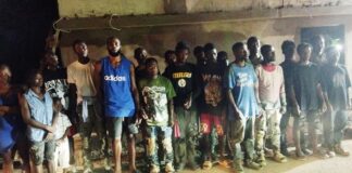 Ejército detiene a 23 haitianos indocumentados que se ocultaban en zona boscosa de Guayubín