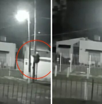 Insólito robo en Argentina: hombre trepa poste de luz para llevarse una bombilla pública Una vez arriba, el sujeto desenroscó el foco de la luminaria pública y escapó del lugar llevándoselo consigo.