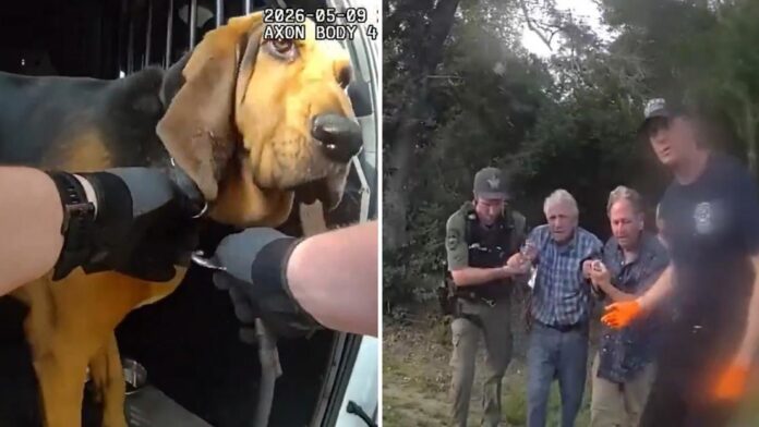 El olfato de un perro policía salva a un hombre de 96 años desaparecido en Florida