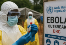 OMS reporta 689 casos de ébola y 139 muertes por brote en RD del Congo OMS reporta 689 casos de ébola y 139 muertes por brote en RD del Congo