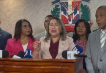 Proponen prohibir la minería metálica en la Cordillera Central y Septentrional Proponen prohibir la minería metálica en la Cordillera Central y Septentrional