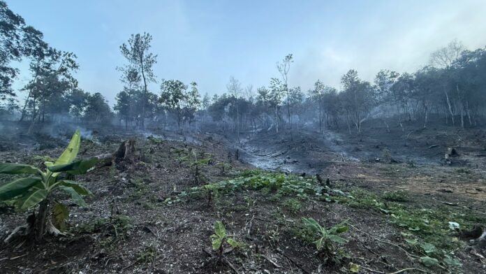 Controlan incendio en Bonao mientras brigadas combaten nueva incidencia en Bahoruco